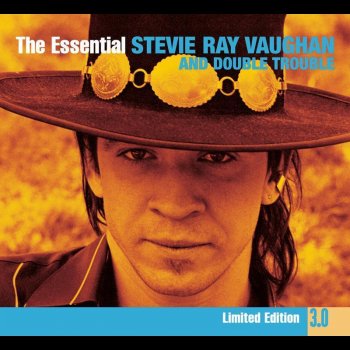 Stevie Ray Vaughan And Double Trouble Wall Of Denial