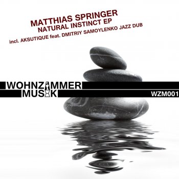 Matthias Springer feat. Dmitriy Samoylenko & Aksutique Natural Instinct - Aksutique feat. Dmitriy Samoylenko Jazz Dub