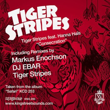 Tiger Stripes feat. Hanna Haïs Consecration - DJ EBAR Bossa Beatdown Remix