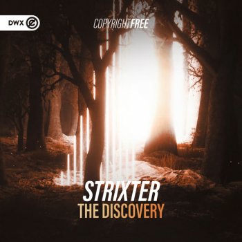 Strixter feat. Dirty Workz The Discovery