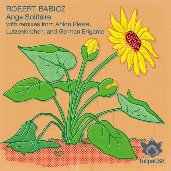 Robert Babicz Ange Solitaire (Lutzenkirchen Dub Mix)