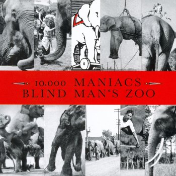 10,000 Maniacs The Lion's Share