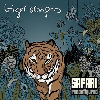 Tiger Stripes Rasmus Plays The Marimba (Supernova Row Mix)