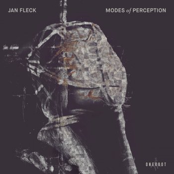 Jan Fleck Modes of Perception