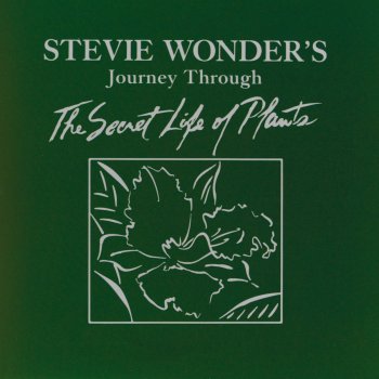 Stevie Wonder Send One Your Love (Instrumental)