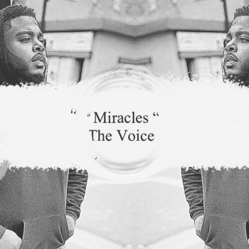 The Voice Miracles
