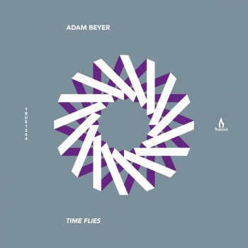 Adam Beyer Time Flies (Tiger Stripes Remix)