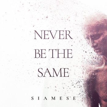 Siamese Never Be the Same