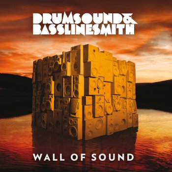Drumsound & Bassline Smith feat. DRS Revolution