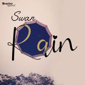 Swan Rain