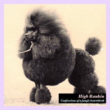 High Rankin Don't Drink The Kool-Aid - Original Mix