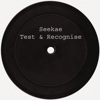 Seekae Test & Recognise (Flume Re-work)