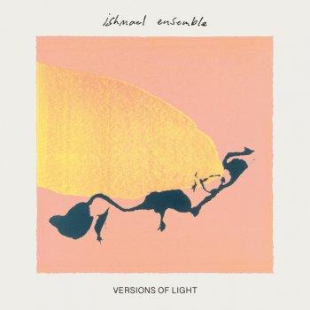 Ishmael Ensemble feat. Sandunes Visions of Light (Sandunes Version)