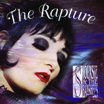 Siouxsie & The Banshees Not Forgotten