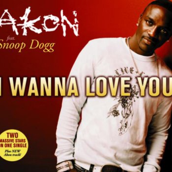 Akon feat. Snoop I Wanna Love You