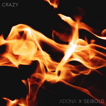 ADONA feat. Seibold Crazy