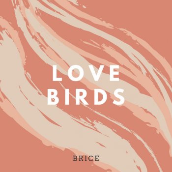 Brice Love Birds