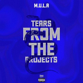 M.U.L.A Tears from the Projects