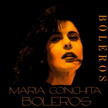Maria Conchita Alonso La Noche de Anoche (A Duo Con Manzanero)