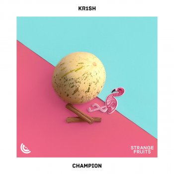 kr1sh Champion