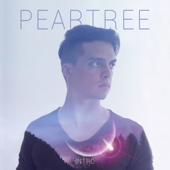 Peartree Who We Are