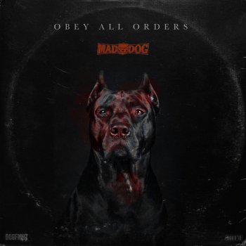 DJ Mad Dog Obey All Orders