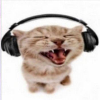 Zeija Cat wit da headphones on
