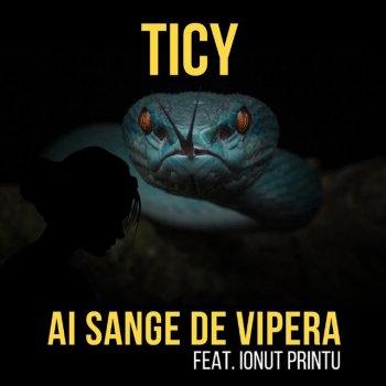 Ticy Ai Sange De Vipera (feat. Ionut Printu)