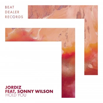 Jordiz feat. Sonny Wilson Hold You