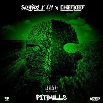 Skengdo feat. AM & Chief Keef Pitbulls