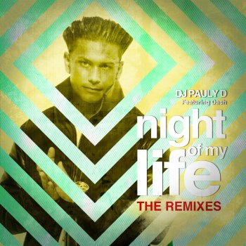 DJ Pauly D feat. Dash Night of My Life (Moti - Dubstrumental)