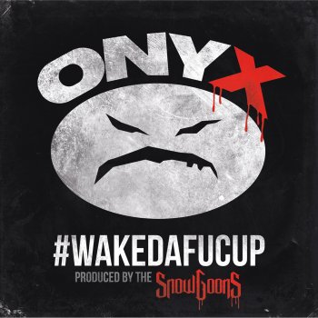 Onyx Wakedafucup Intro