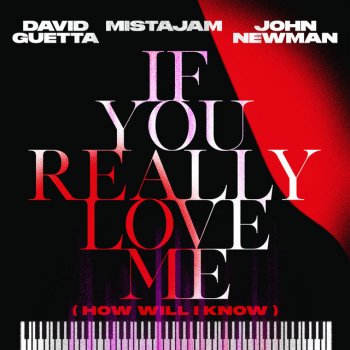 David Guetta feat. MistaJam & John Newman If You Really Love Me (How Will I Know)