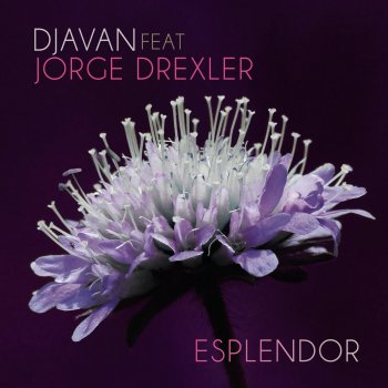 Djavan feat. Jorge Drexler Esplendor (Faixa Bônus)