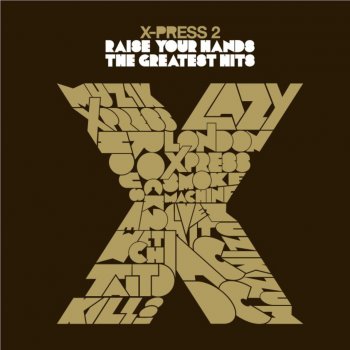 X-Press 2 Call That Love (Radioslave Remix)