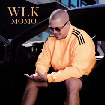 Momo feat. Matej Straka Chameleon