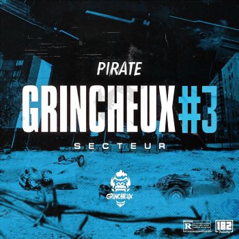 Pirate Grincheux #3 - Secteur