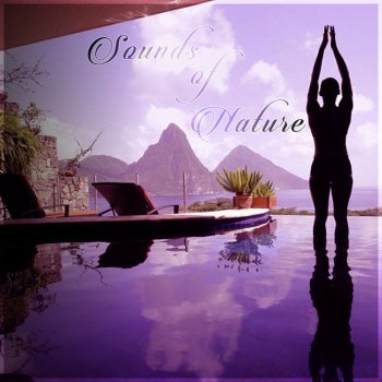 Mantra Yoga Music Oasis Falling Rain (Zen Meditation)