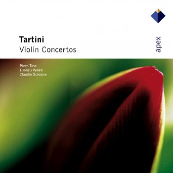 Claudio Scimone feat. I Solisti Veneti & Piero Toso Violin Concerto in A Minor, D. 115, 'A Lunardo Venier': II. Andante Cantabile