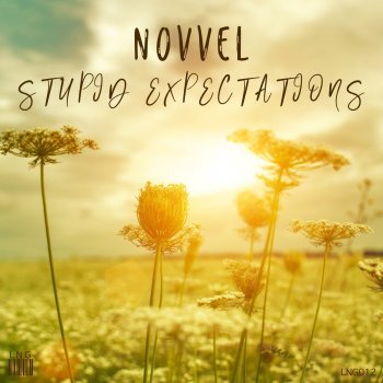 Novvel Stupid Expectations