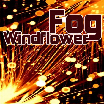 Fog Windflower