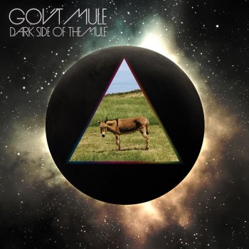 Gov't Mule One of These Days