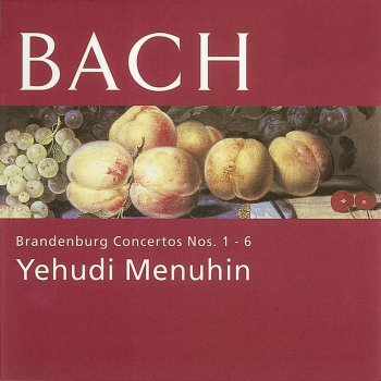 Johann Sebastian Bach, Bath Festival Chamber Orchestra/Yehudi Menuhin & Yehudi Menuhin Brandenburg Concerto No. 4 in G, BWV 1049 (1989 - Remaster): II. Andante