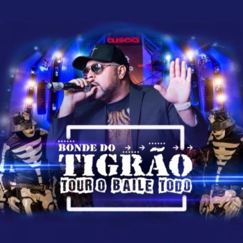 Bonde do Tigrão feat. MC Serginho Vai Serginho