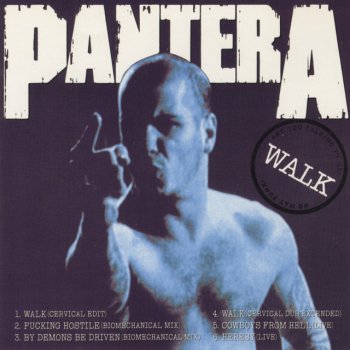 Pantera Cowboys From Hell - Live
