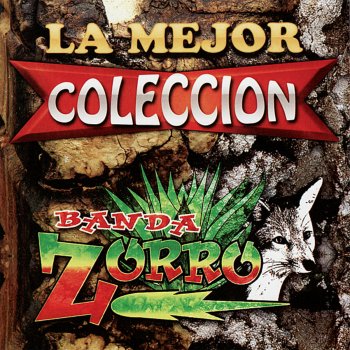 Banda Zorro Corazon Tatuado