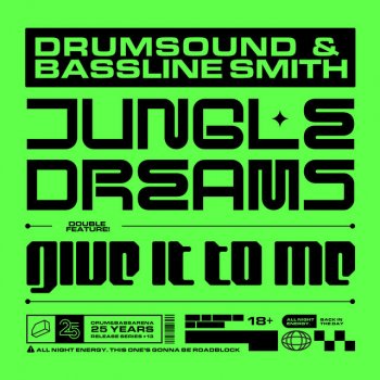 Drumsound & Bassline Smith Jungle Dreams