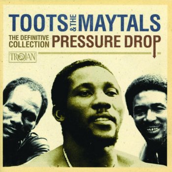 Toots & The Maytals Never You Change (Reggae version)