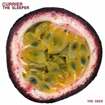Currier The Sleeping (Annix TM Remix)