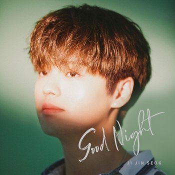 JI JIN SEOK Good Night (Instrumental)